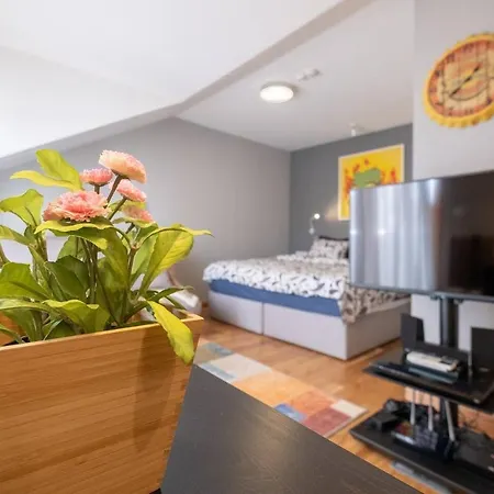 3 Luxurious Aprts + 2 Free Parking Spaces + 10 Ppl Apartamento Sofía